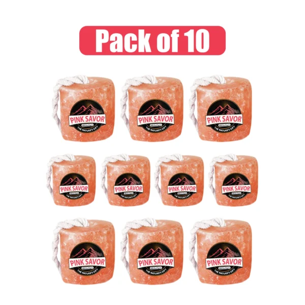 Pack of 10 Animal Lick Salt