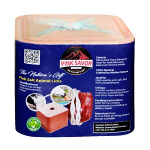 Natural Pink Salt Block for Animal Health – 2–3 KG